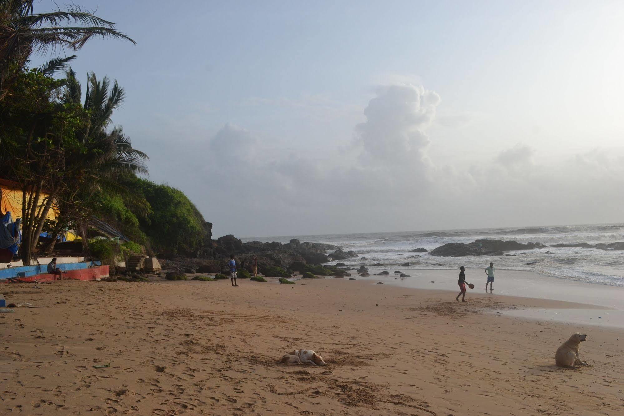 Albergue Curlies Zulu Land Anjuna Exterior foto