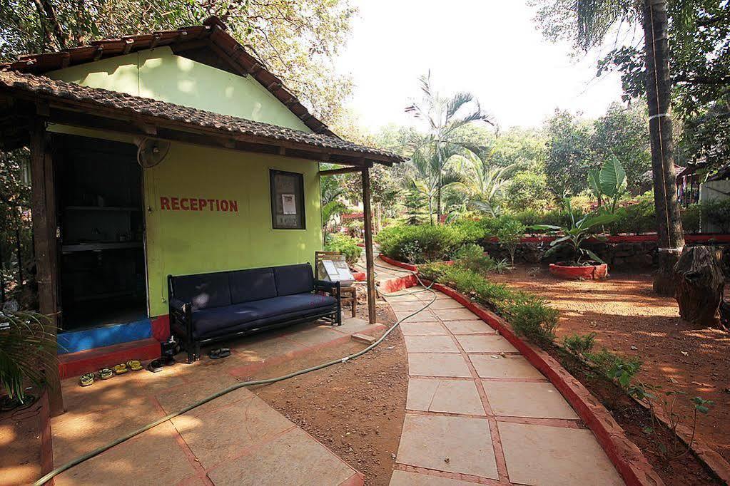 Albergue Curlies Zulu Land Anjuna Exterior foto